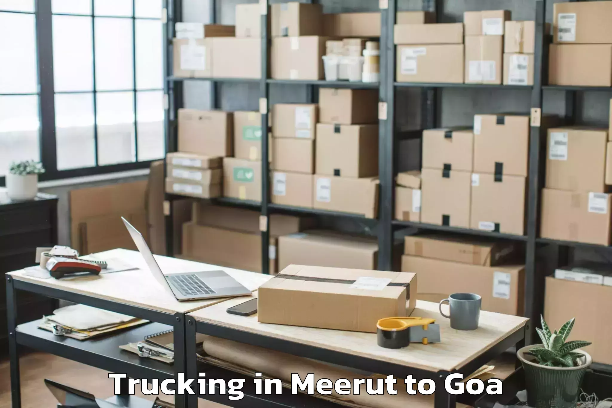 Expert Meerut to Mopa Trucking